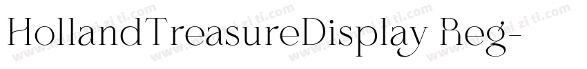 HollandTreasureDisplay Reg字体转换